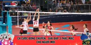 Cá Cược Bóng Chuyền - Giải Đáp 3 Thắc Mắc Cho Người Mới