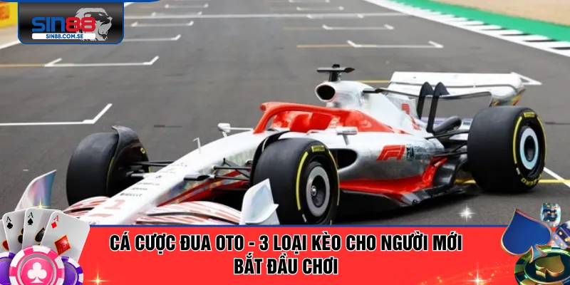 Cá Cược Đua Oto - 3 Loại Kèo Cho Người Mới Bắt Đầu Chơi