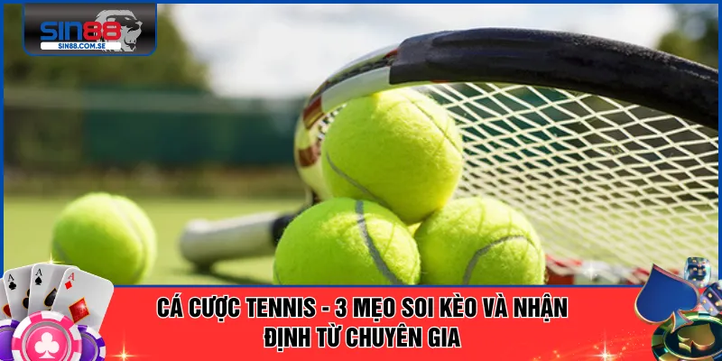 Cá Cược Tennis - 3 Mẹo Soi Kèo Và Nhận Định Từ Chuyên Gia