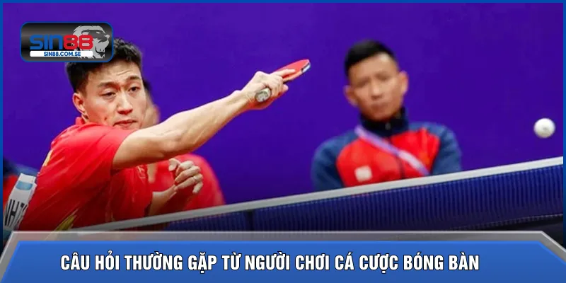 Câu hỏi thường gặp từ người chơi cá cược bóng bàn