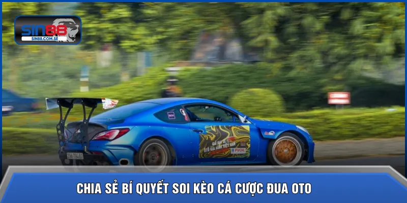 Chia sẻ bí quyết soi kèo cá cược đua oto 