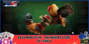Đá Gà Mạng Uy Tín – Trải Nghiệm Cá Cược Số 1 Châu Á 