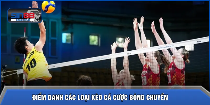 Điểm danh các loại kèo cá cược bóng chuyền