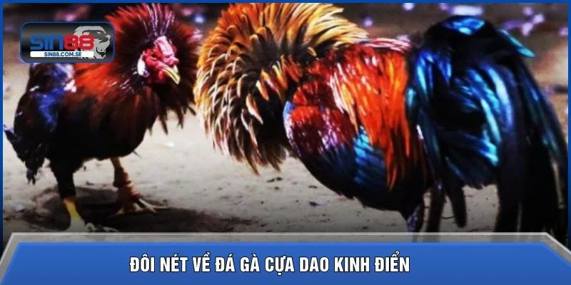 Đôi nét về đá gà cựa dao kinh điển