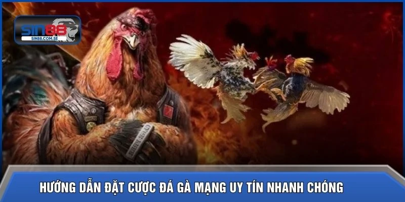 Hướng dẫn đặt cược đá gà mạng uy tín nhanh chóng 