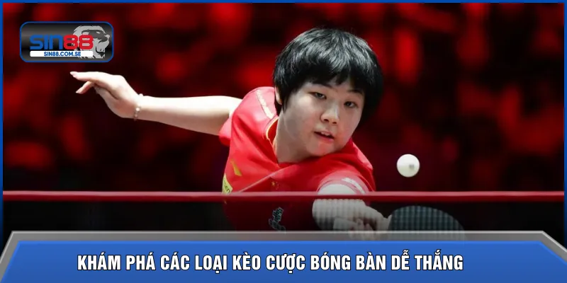 Khám phá các loại kèo cược bóng bàn dễ thắng