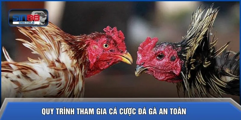 Quy trình tham gia cá cược đá gà an toàn