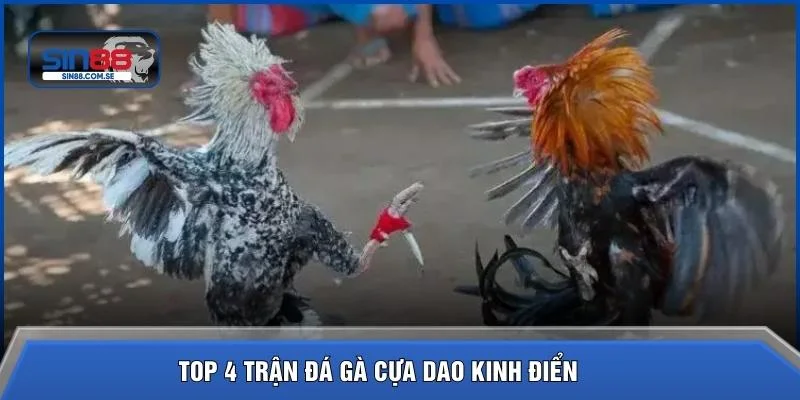 TOP 4 trận đá gà cựa dao kinh điển